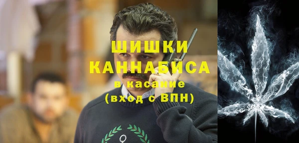 амф Ладушкин