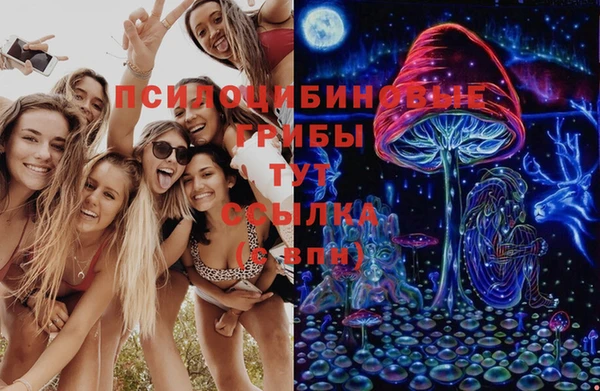 гидропоника Лиски