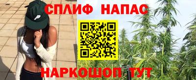 прущие грибы Берёзовский