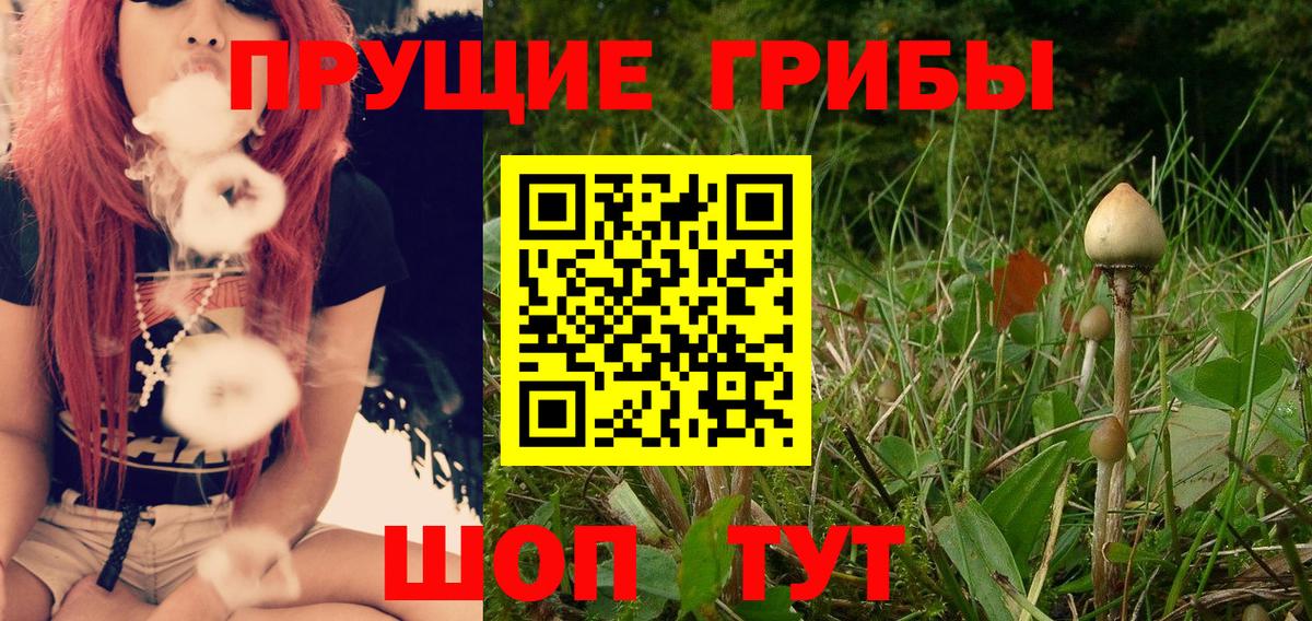 Псилоцибиновые грибы мицелий Учалы